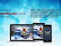 Pulibet443 Yeni Adres