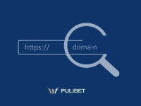 Pulibet731 Yeni Adres